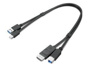 m{ 4X91D11453 ThinkStation Mini-DisplayPort/USB Type-A3.0 - DisplayPort/USB Type-B3.0 ϊA_v^[