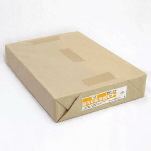 Ricoh 903121 ʈp 110K A3T 500pbN