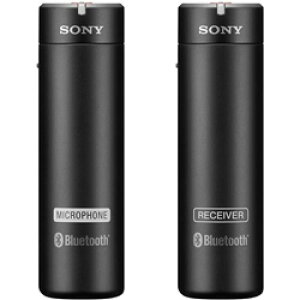 Sony ECM-AW4 CX}CNz