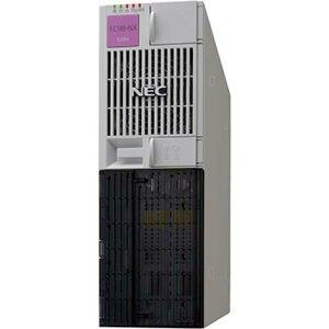 NEC FC-E29U-S32C35 t@NgRs[^ E29U 8GBf(Celeron G4900T/8GB/HDD1TBx2/DVD}`/PCIe/Win10 IoT Ent2019 LTSC/OfficeȂ)