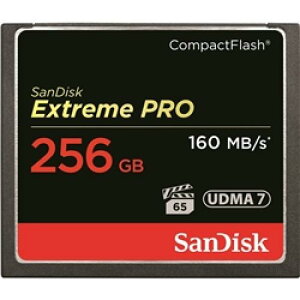 SanDisk SDCFXPS-256G-J61 SanDisk GNXg[ v RpNgtbV 256GB