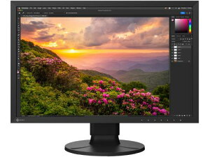 EIZO(GC][) CS2400S-BK tfBXvC 24.1^/1920×1200/USB Type-CAHDMIADisplayPort/ubN/Xs[J[FȂ