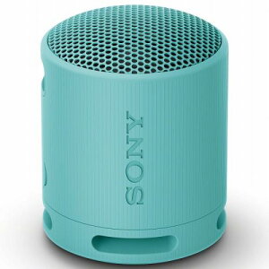 Sony SRS-XB100/L CX|[^uXs[J[ XB100 u[