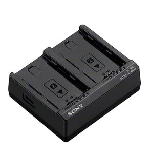 Sony BC-ZD1 obe[`[W[