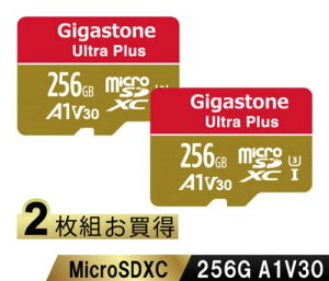 Gigastone GJMXR-256GV3A1100R-2PK Ultra PlusV[Y microSDXCJ[h 256GB 2Zbg Class10 UHS-I U3 V30 A1 őǍ100MB/s