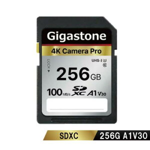 Gigastone GJSX-256GV3A1 SDXC�J�[�h 256GB Class10 UHS-I U1 A1 V30�X�y�b�N �ő�ǂݎ�葬�x100MB/s 4K  Full HD�J���� �p�\�R�� �ʐ^ ����f�[�^�ۑ�