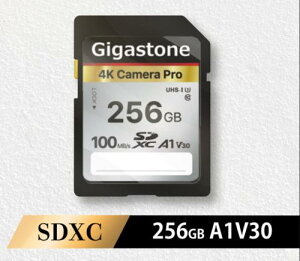 Gigastone GJSXR4K-256GV3A1 SDXC�J�[�h 4K Camera Pro�V���[�Y 256GB Class10 UHS-I U1 A1 V30 �ő�ǂݎ�葬�x100MB/s 4K Ultra HD �f�W�^���J���� ��჌�t�J���� 4K�r�f�I�J����