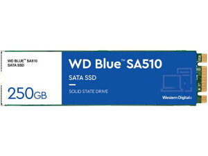 WesternDigital 0718037-884691 WD Blue SA510 SATA�ڑ� M.2 SSD 250GB 5�N�ۏ� WDS250G3B0B
