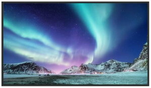 �y�@�l�l������z�V���[�v PN-HW322 32V�^�C���t�H���[�V�����f�B�X�v���C/1920×1080/HDMI�AUSB Type-C/��/�X�s�[�J�[�L/350cd/m2/16����/���f�B�A�v���[���[/�����I���T�C�g3�N�ۏ�/�x�[�V�b�N���f��