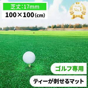 {ieB[SteB[}bgGolfMatVbg}bg