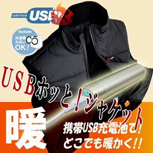 HOTTEM�@USB�Ή������������g�E�F�A�[�i�x�X�g�j�i���������j