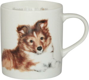 {@R@}OJbv@VFeBm R[q[}O D CXg H `[t ObY G v[g G pi Mtg 蕨 a j Aj} 