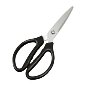 J[@Lb`oT~@@@[p͂݁E]