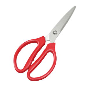 J[@Lb`oT~@ԁ@@[p͂݁E]