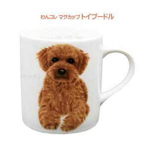 R@퐻}OJbv@Tv[h@igCv[hj@m R[q[}O D CXg H `[t ObY G v[g G pi Mtg 蕨 a 