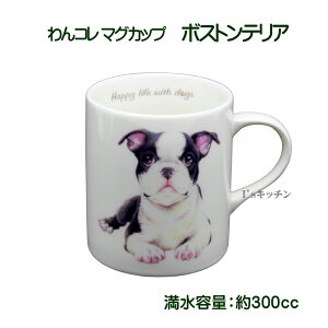 R@퐻}OJbv@{XgeA@@m R[q[}O D CXg H `[t ObY G v[g G pi Mtg 蕨 a j Aj