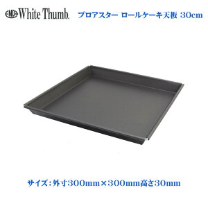 zCgT vAX^[[P[LV@30cm@Ă^ `Vmٗpi َq Ɩpn