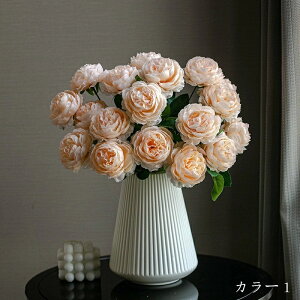 ̓ tFCNt[ o  lHϗtA G} CeA  k ԕrt  ԑ ͂Ȃ bv炸 rO  ̓ a j X 蕨