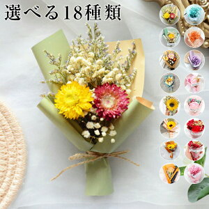 yyVX[p[SALEzhCt[ ԑ hCt[ u[P  t[ ͂Ȃ @Mtg j    CeA SNSf ʐ^Bepԍ