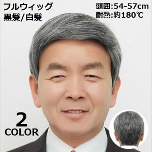 tEBbO  Y jp Np N  ubN  i` R ~fBAV[g Xg[g