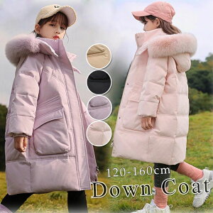 yyVX[p[SALEz_ER[g q ̎q _EWPbg _ER[g h WPbg q  ̎q tFCNt@[ t[ht ʊw LbY h H~ WjA AE^[ ~