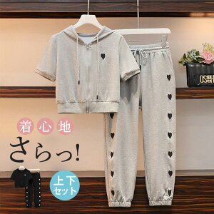 W[W ZbgAbv fB[X ㉺Zbg XEFbg t[ht  [EFA  pc g[jO X|[cEFA JWA