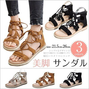 T_tbgu[cT_₷[q[[XAbv҂ݏグOfBG[^[T_ăfB[XCȂ