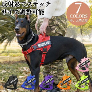 n[lX ^ ^ p   p[n[lX n[lX  n[lX [h pn[lX ^ ^ ^  ybg