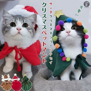 ybg NX}X}g L  NX}X P[v t RXv ߑ }g  RX`[ ybg L  