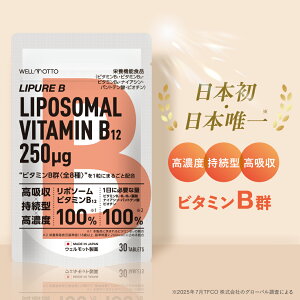 �yP10�{�z�y���{���E���{�B��/��t�ďC�z�r�^�~��B�Q �T�v�� 1���� ���|�\�[�� �r�^�~��B12 250��g �r�^�~��B 7�� 1���ɕK�v�ȗ�100���z�� �h�{�@�\�H�i �r�^�~��B1 �r�^�~��B2 �r�^�~��B6 �i�C�A�V