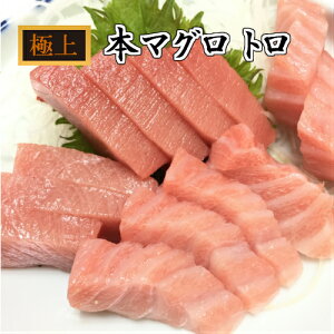  ܂됶 {܂ gEgEԐg Zbg500g }O {܂ xⓀĂȂ}O Mtg { g hg Ԑg ubN  {B Y ܂Ƃ  i }O CN 