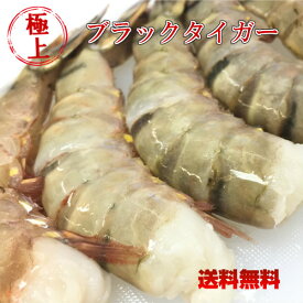 海老冷凍 冷凍エビ ブラックタイガー 16-20 大 1.8kg/約70匹 送料無料 お中元 えび お歳暮 殻付きエビ 冷凍エビ 無頭エビ エビフライ 海老 エビ 海老フライ 特大 お中元 ギフト 業務用 魚 お取り寄せグルメ 海産物 冷凍食品 プレゼント 保存食 ギフト