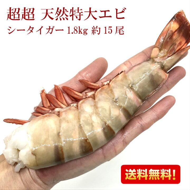 楽天市場 海老 冷凍エビ 超超 特大エビ シータイガー 特大 1 8kg 約15尾 えび 送料無料 お歳暮 海老 特大 ブラックタイガーの種 大きい海老 殻付きエビ エビフライ 海老フライ えびフライ 業務用 海老天ぷら ギフト バーベキュー ギフト 海老チリ 車エビ科 えび天ぷら