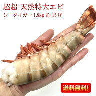 【楽天1位】 【希少】 超超 特大天然えび 特大エビ シータイガー 1.8kg 約15尾 3/4サイズ 特大 送料無料 …