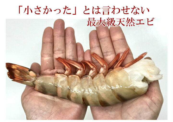 円 最安価格 特大 無頭 ブラックタイガー 4 6 1 8kg 約16 円 最安価格 特大 無頭 ブラックタイガー 4 6 1 8kg 約16