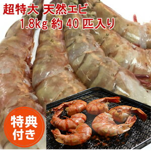 VRGr  1.8kg/40C t[Gr ⓀGr hV̓ Mtg  CV  ktGr GrtC  o[xL[ Mtg CVtC Ɩp ubN^CK[