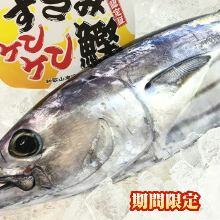 楽天市場 かつお 1本 約1 5kg 和歌山県産 すさみ ケンケン 鰹 かつおたたき 初ガツオ ギフト 鮮魚 国産 西京漬け 海産物 いしもと 楽天市場 かつお 1本 約1 5kg 和歌山県産 すさみ ケンケン 鰹 かつおたたき 初ガツオ ギフト 鮮魚 国産 西京漬け 海産物 いしもと