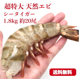 楽天市場 車海老 特大 エビの種 しゅ ブラックタイガー の通販