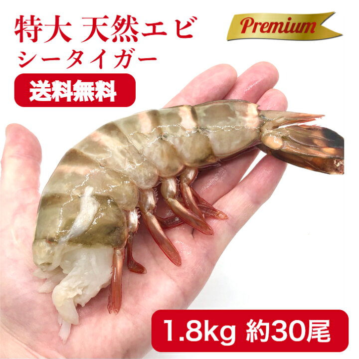 楽天市場 冷凍エビ 超 特大エビ 1 8kg 約30尾 天然エビ シータイガー えび 送料無料 お歳暮 天然 海老 特大 ブラックタイガーの種 大きい海老 エビフライ 海老フライ えびフライ 業務用 海老天ぷら ギフト バーベキュー ギフト 海老チリ 車エビ科 西京漬け 海産物