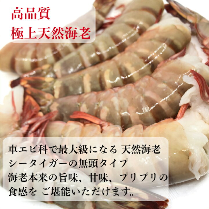 楽天市場 冷凍エビ 超 特大エビ 1 8kg 約30尾 天然エビ シータイガー えび 送料無料 お歳暮 天然 海老 特大 ブラックタイガーの種 大きい 海老 エビフライ 海老フライ えびフライ 業務用 海老天ぷら ギフト バーベキュー ギフト 海老チリ 車エビ科 西京漬け 海産物