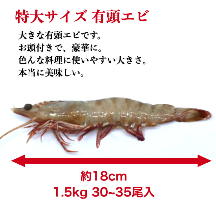 楽天市場 オマケ付き 有頭エビ オーストタイガー 1 5kg 約30尾 送料無料 えび 海老 冷凍エビ 頭付き エビ エビフライ おせちエビ 天然 海老 有頭えび 車エビ科 ブラックタイガーの種 西京漬け 海産物 いしもと