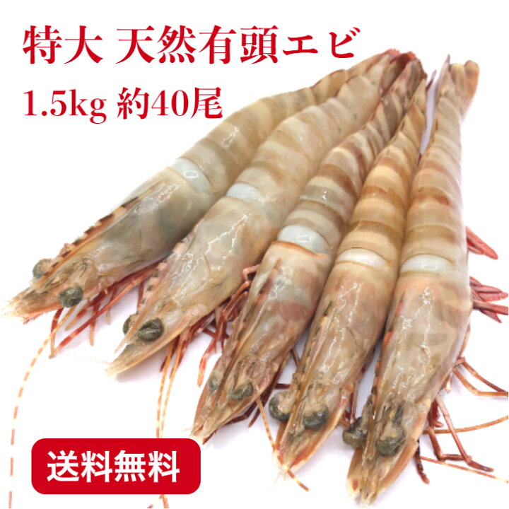 楽天市場 オマケ付き 天然有頭エビ オーストタイガー 1 5kg 約40尾 送料無料 えび 海老 冷凍エビ 頭付き エビ エビフライ おせちエビ 天然海老 有頭えび 車エビ科 ブラックタイガーの種 西京漬け 海産物 いしもと