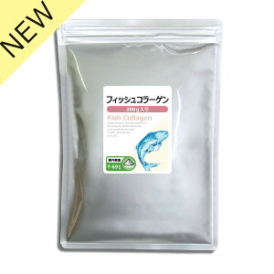 yő50OFFN[|zzz tBbVR[Q 200g T-691  ISA ACGXG[ TvgX R[Q Y R R[Qyv`h s2/21 j[At