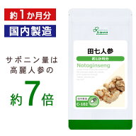 【公式】 田七人参 約1か月分 C-102 (90カプセル) 送料無料 リプサ サプリメント ISA アイエスエー 健康…