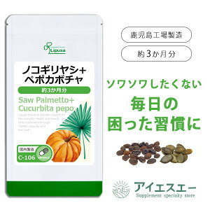 yő11OFFN[|zzz mRMV{y|J{` 3 C-106 (90JvZ)  vT Tvg ISA ACGXG[ 肵Ȃ N