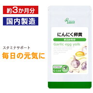 【最大30％OFFクーポン配布中】 にんにく卵黄 約3か月分 C-110 (90カプセル) 送料無料 リプサ サプリメン…
