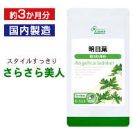 【最大30％OFFクーポン配布中】 明日葉 約3か月分 C-111 (180カプセル) 送料無料 リプサ サプリメント IS…