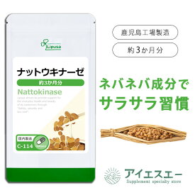 【公式】 ナットウキナーゼ 約3か月分 C-114 (90カプセル) 送料無料 リプサ サプリメント ISA アイエスエー 国産 納豆 使用 手軽に続けられる 菌活