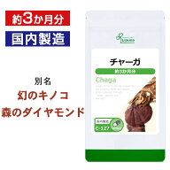 【スーパーSALE期間中 10％OFF】 チャーガ(カバノアナタケ) 約3か月分 C-127 (180カプセル) 送料無料 リ…