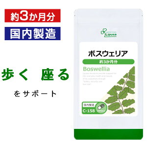 yő50OFFN[|zzz {XEFA 3 C-158 (180JvZ)  vT Tvg ISA ACGXG[ N T|[gTv